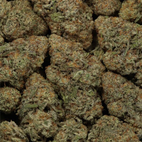 Ace Killer OG - Image 2