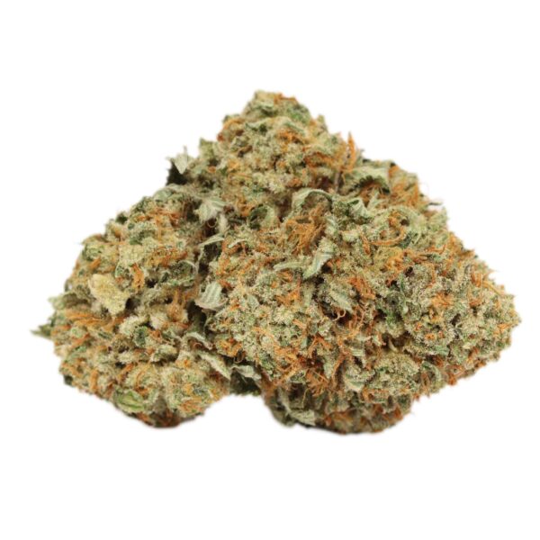 Alien Bubba - Image 3