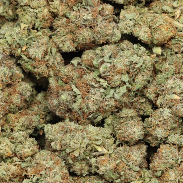 Black Diamond - Image 2