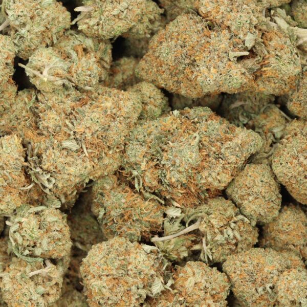Bubba Cali Kush - Image 2