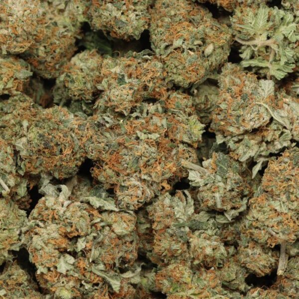 Buddha Kush - Image 2
