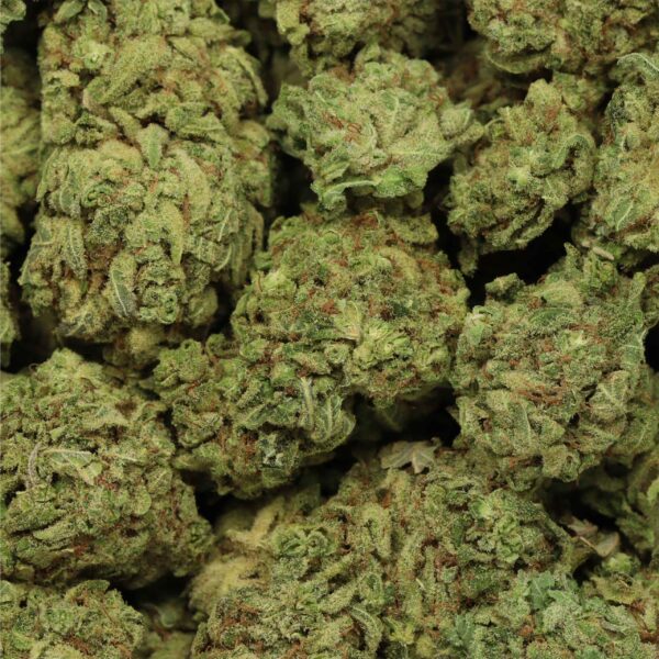 Candyland - Image 2