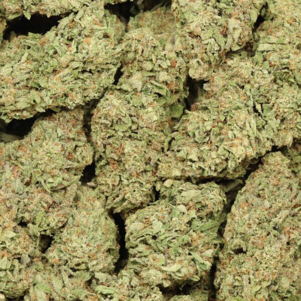 Super Lemon Haze - Image 2