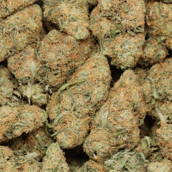 Gelato #33 - Image 2
