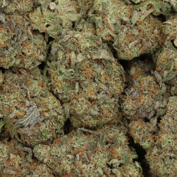 Grand Daddy Purple - Image 2