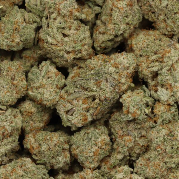 MAC 1 - Image 2
