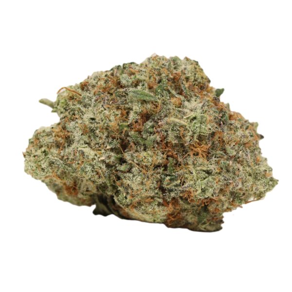 Northern Lights - Image 3