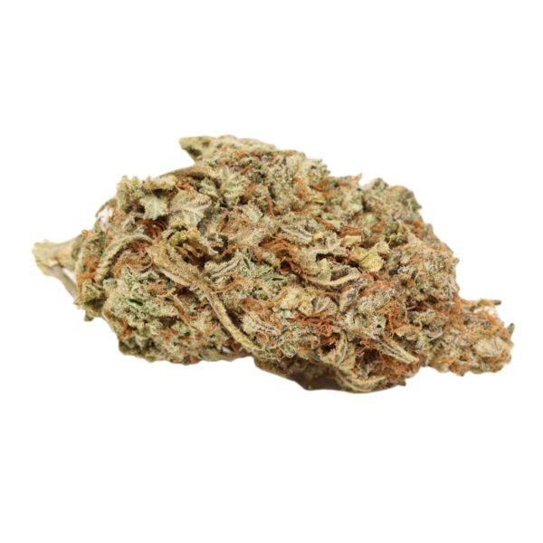 Slurricane - Image 3