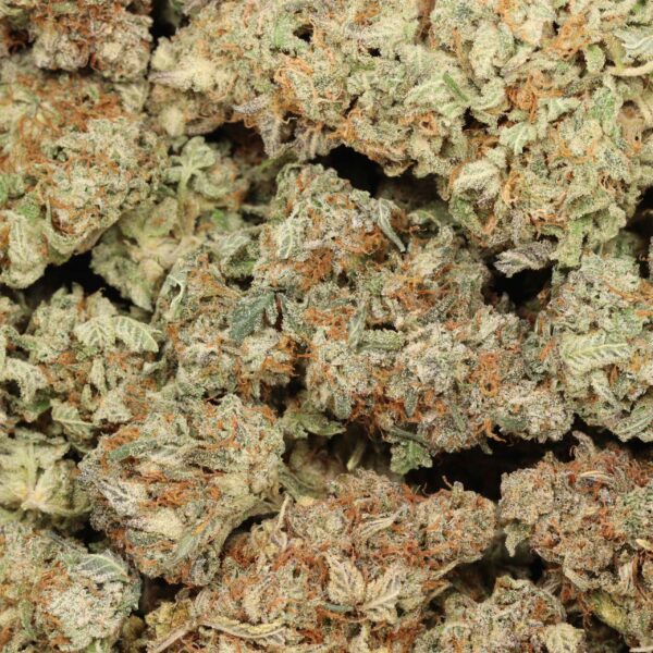 Slurricane - Image 2